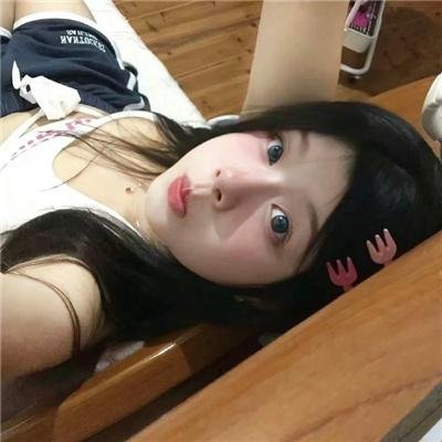 国家鸟